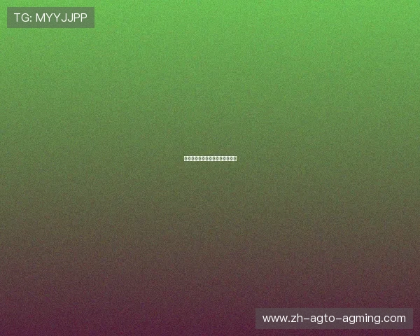 西甲联赛最新转会动态及球员分析